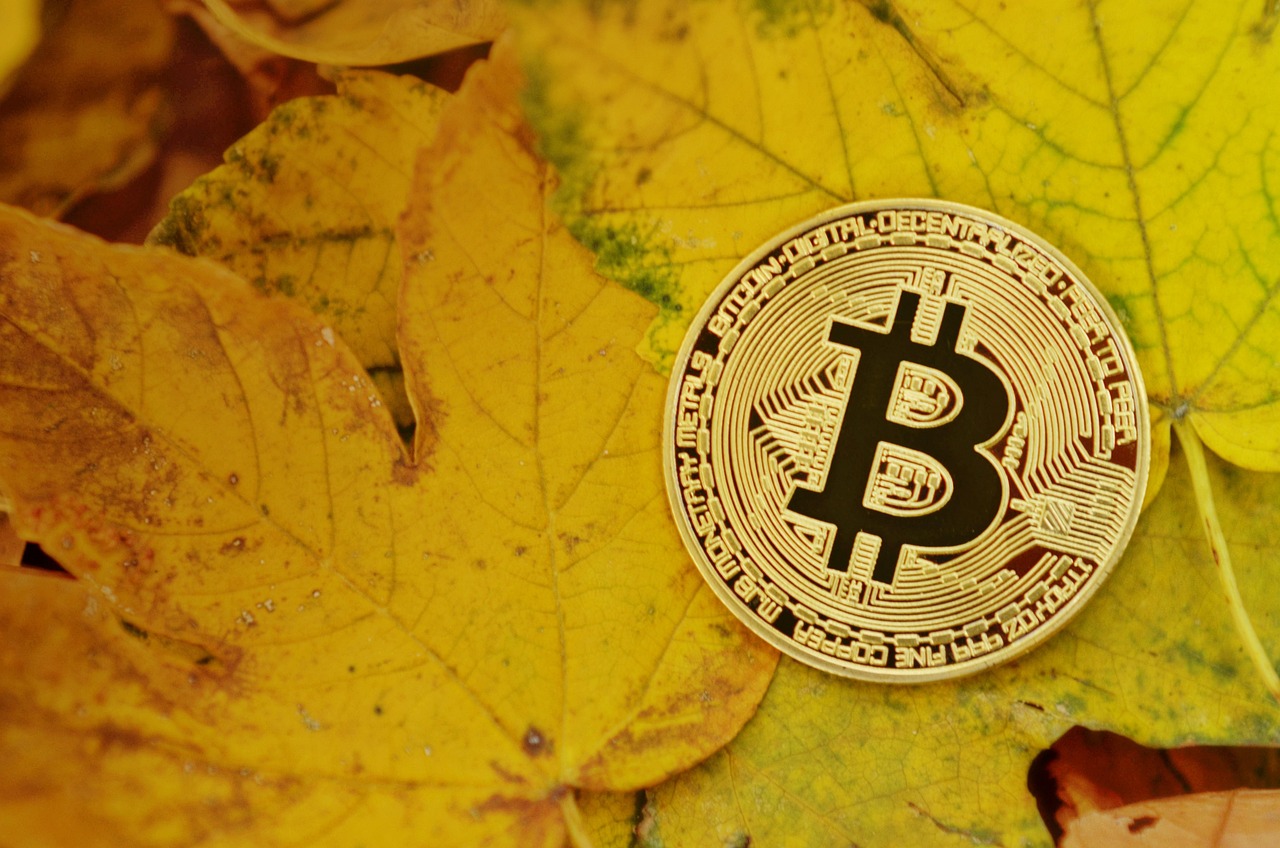 Semler Scientific拟筹资5亿美元购买比特币！向Coinbase借款支付罚款
